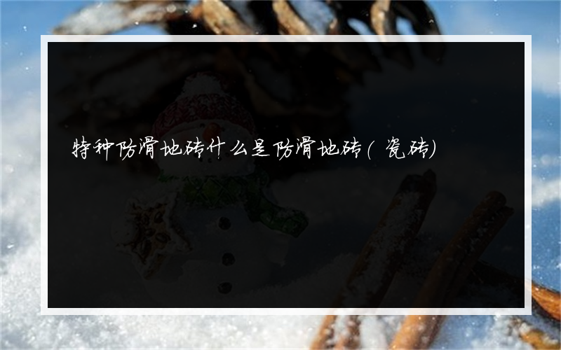 特种防滑地砖什么是防滑地砖(瓷砖)