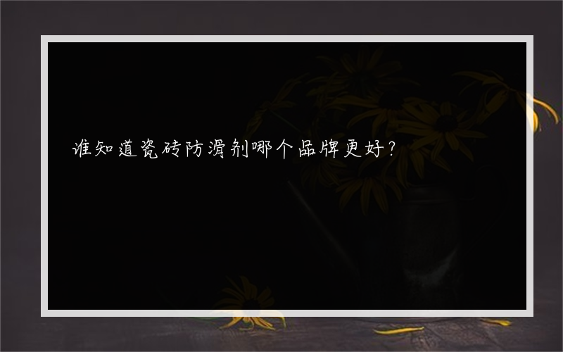 谁知道瓷砖防滑剂哪个品牌更好？